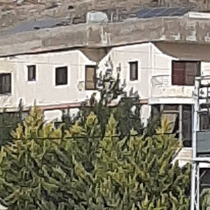 Ahmad Abou Hamdan